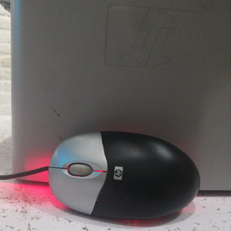 Mouse