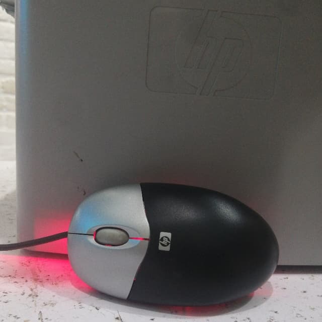 Mouse